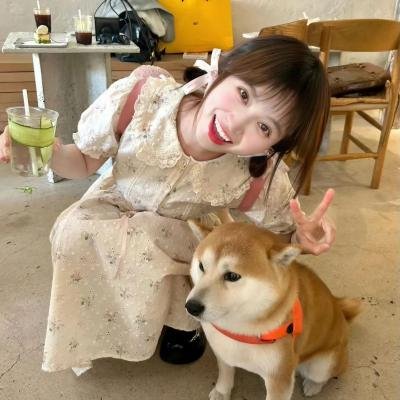 博尼法斯修女探案集第三季 海报